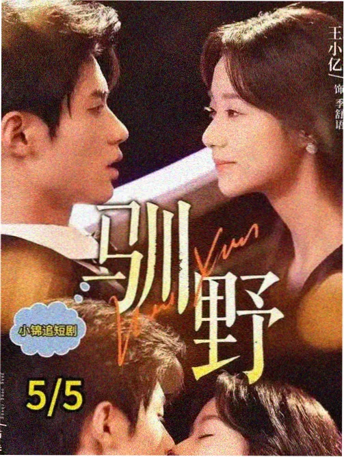 高清韩剧在线观看 浪漫医生金师傅